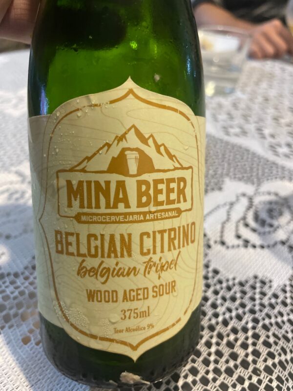 Mina Beer Citrino Wood Sour 375ml - Image 2